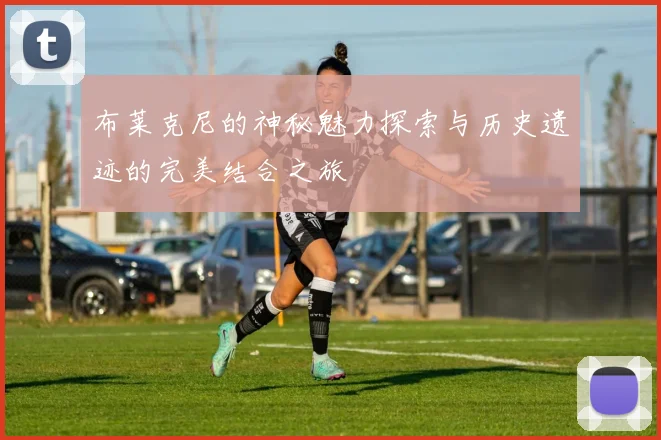 布莱克尼的神秘魅力探索与历史遗迹的完美结合之旅