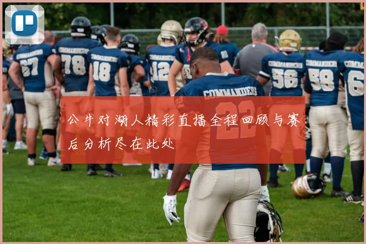 公牛对湖人精彩直播全程回顾与赛后分析尽在此处