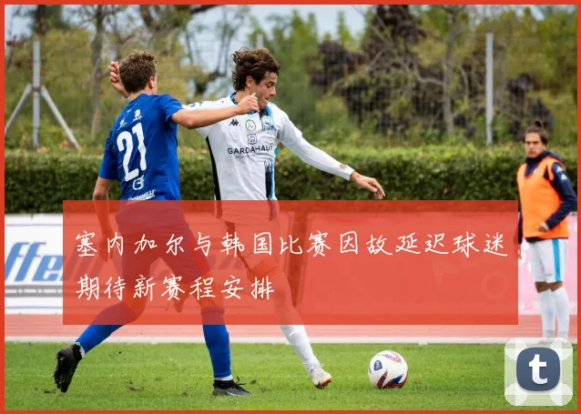 塞内加尔与韩国比赛因故延迟球迷期待新赛程安排