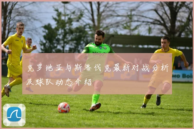 克罗地亚与斯洛伐克最新对战分析及球队动态介绍