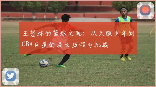 王哲林的篮球之路：从天赋少年到CBA巨星的成长历程与挑战